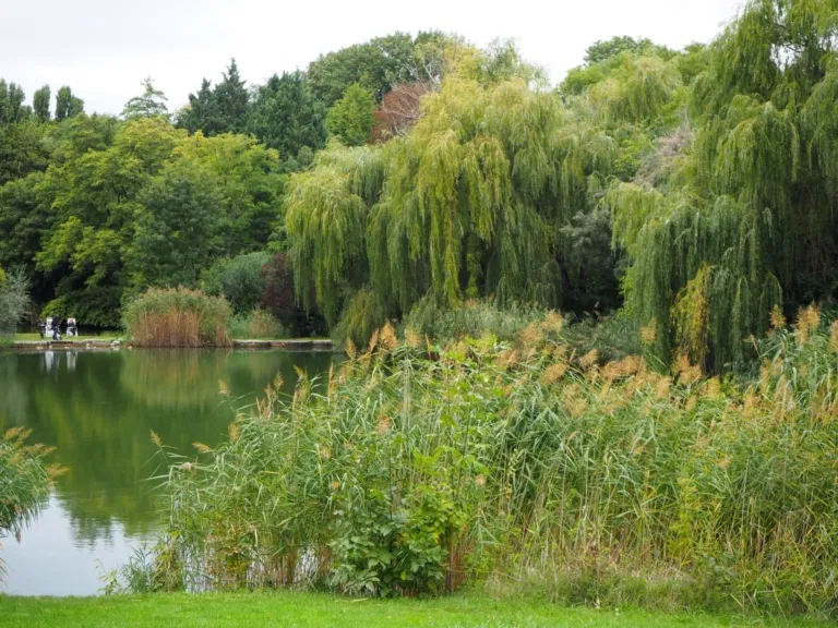 © Photo: 1000things/ Viktoria Klimpfinger